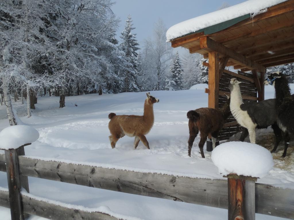 Landhaus Charlotte Am Geigenbuehel -Apartments Seefeld in Tirol Luaran gambar